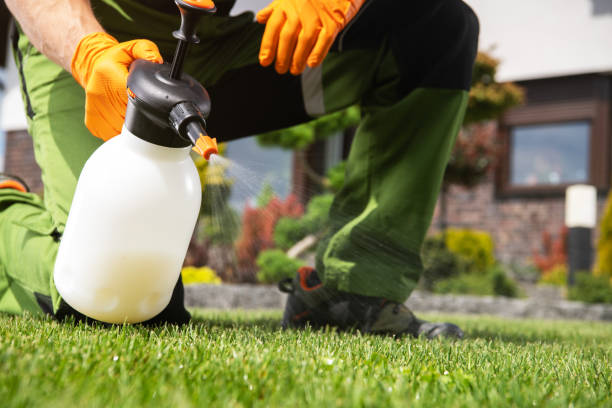 Best Termite Control Services  in Amityville, NY