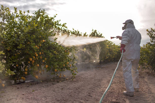 Best Commercial Pest Control Services  in Amityville, NY